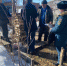 lesozavod31032021 - Усть-Кубинский район