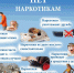 Скажи наркотикам "Нет"! - Центр культуры, библиотечного обслуживания и спорта