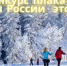 Лыжня России - это класс! - Центр культуры, библиотечного обслуживания и спорта