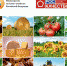 organika-27042022 - Усть-Кубинский район