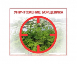 ВНИМАНИЕ! Начнутся работы по борьбе с БОРЩЕВИКОМ СОСНОВСКОГО!.